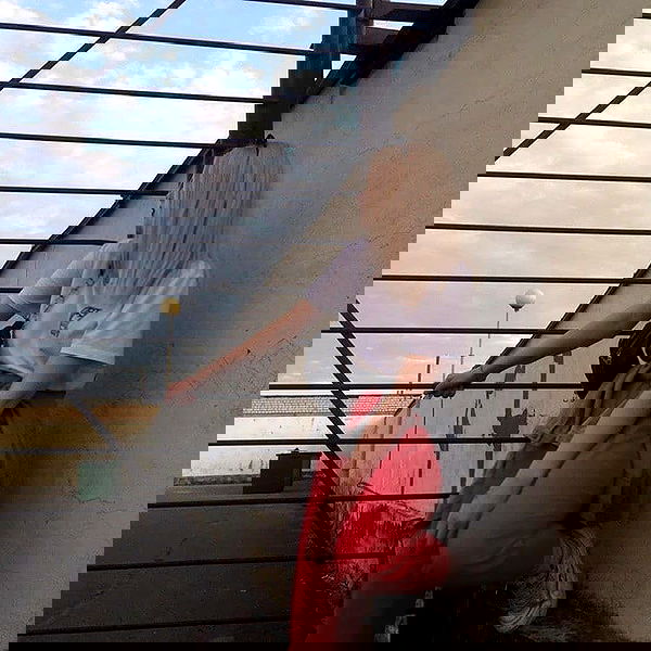 annfigmax image ~ Altpins