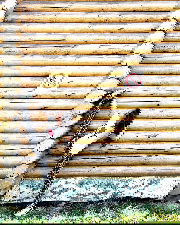 kkulakovaa image ~ Altpins