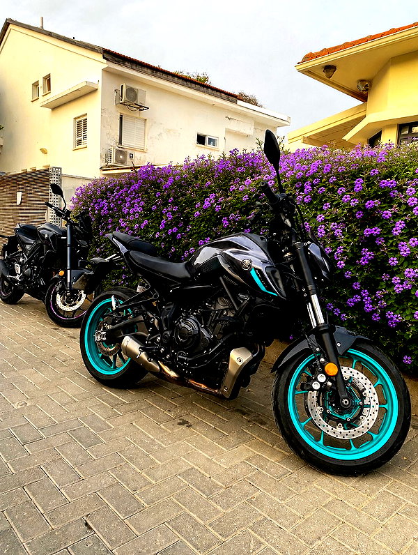shanidahan7 instagram image archive image