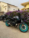 shanidahan7 Altpins Profile Picture
