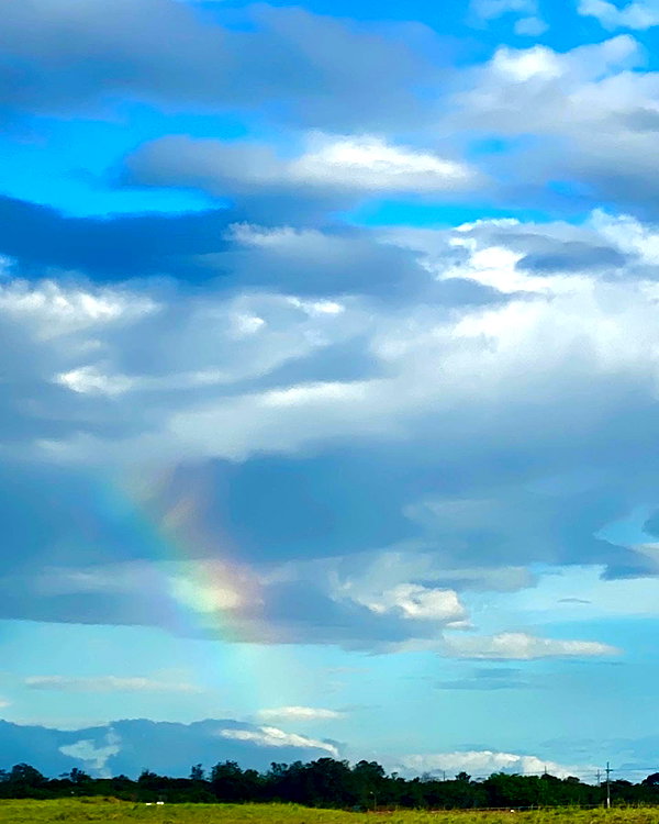 gabrielabee instagram image archive image