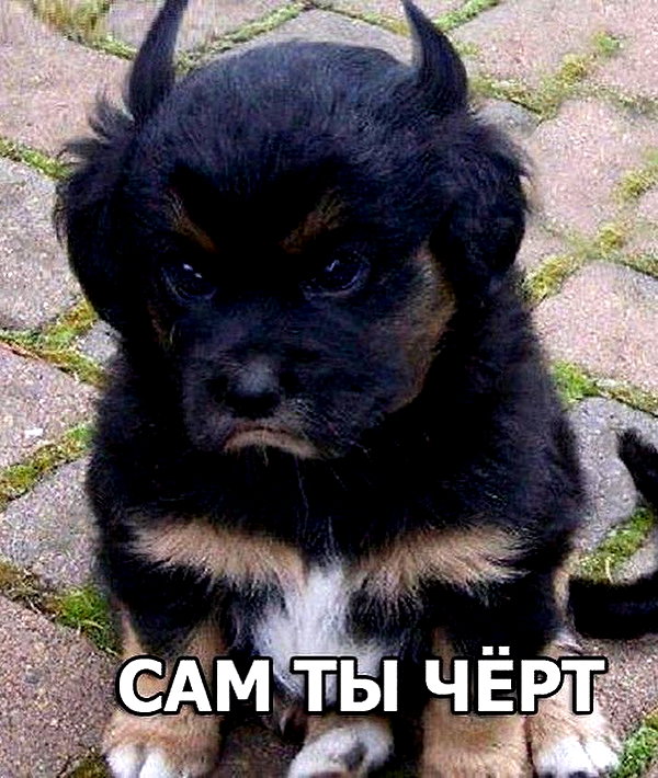 ptpchik instagram image archive image