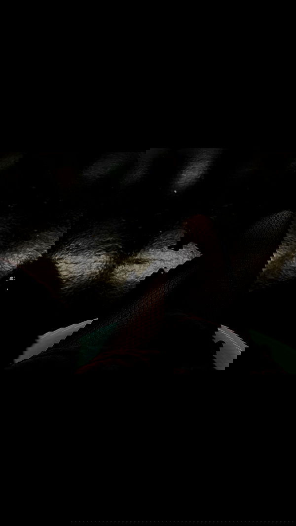 manjolamuriqi manjolamuriqi archive image