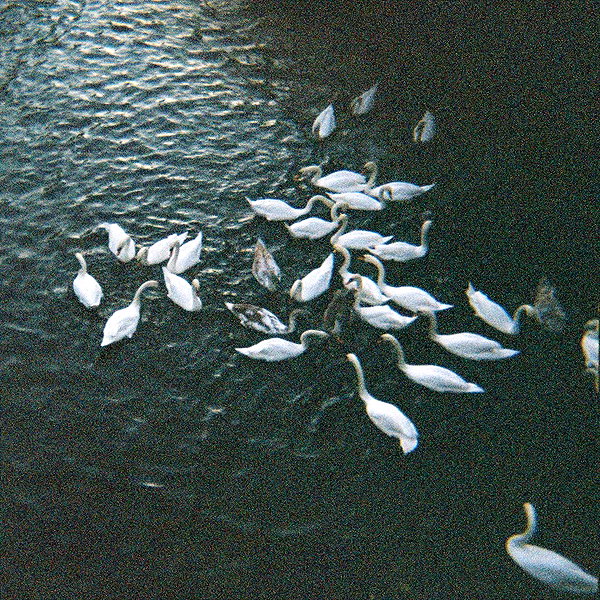 pia__kim instagram image archive image