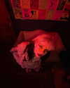 wormsheriff Altpins Profile Picture