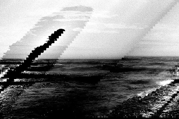 ting851204 ting851204 archive image