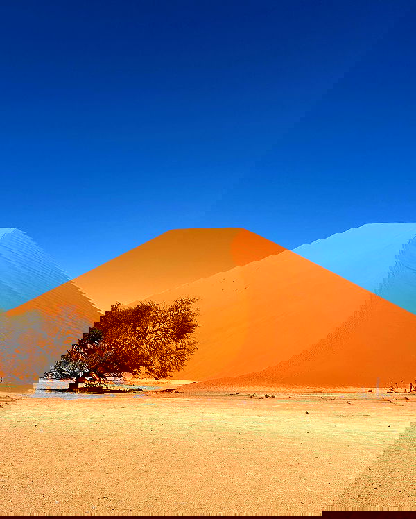 taylor.creeden taylor.creeden archive image