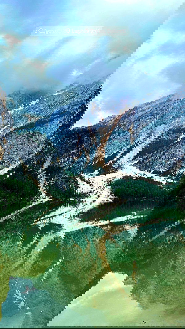 taylor.creeden taylor.creeden archive image