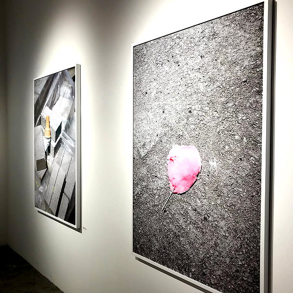 daxbin instagram image archive image