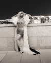 xtina Altpins Profile Picture