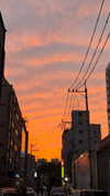 elsgatti Altpins Profile Picture