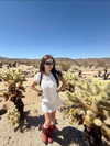 fair_mua Altpins Profile Picture