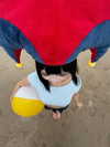 dystorra Altpins Profile Picture
