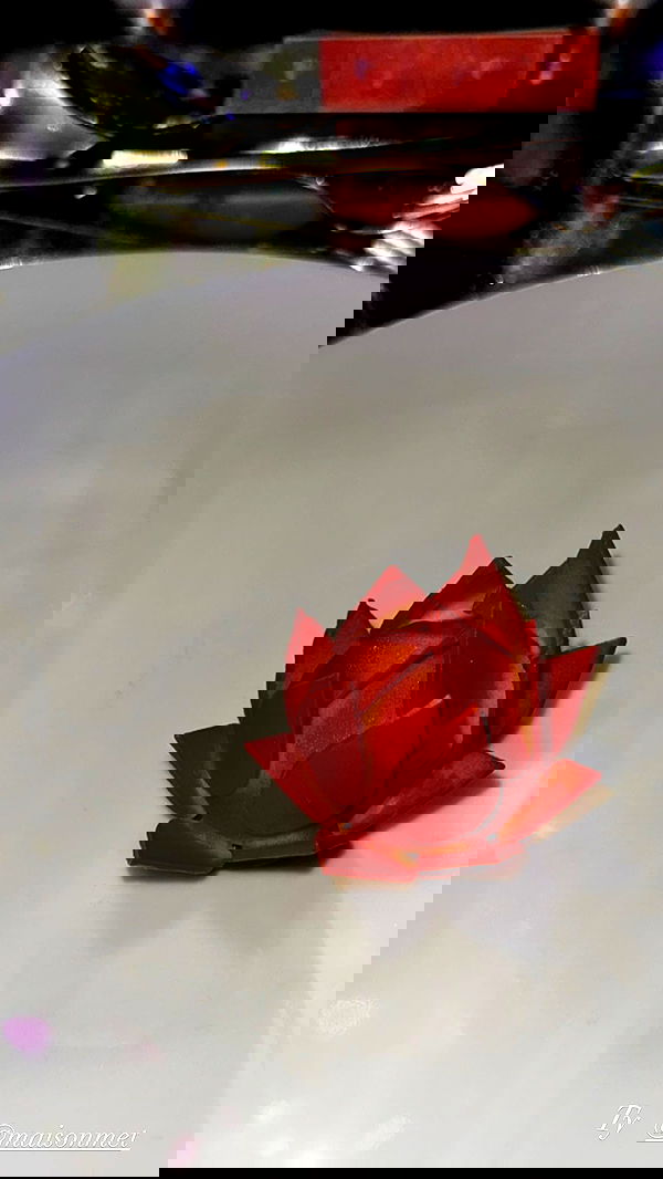 taylor.creeden taylor.creeden archive image