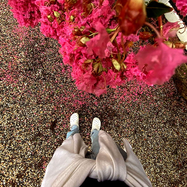 gigihadid instagram image archive image