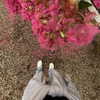 gigihadid Altpins Profile Picture