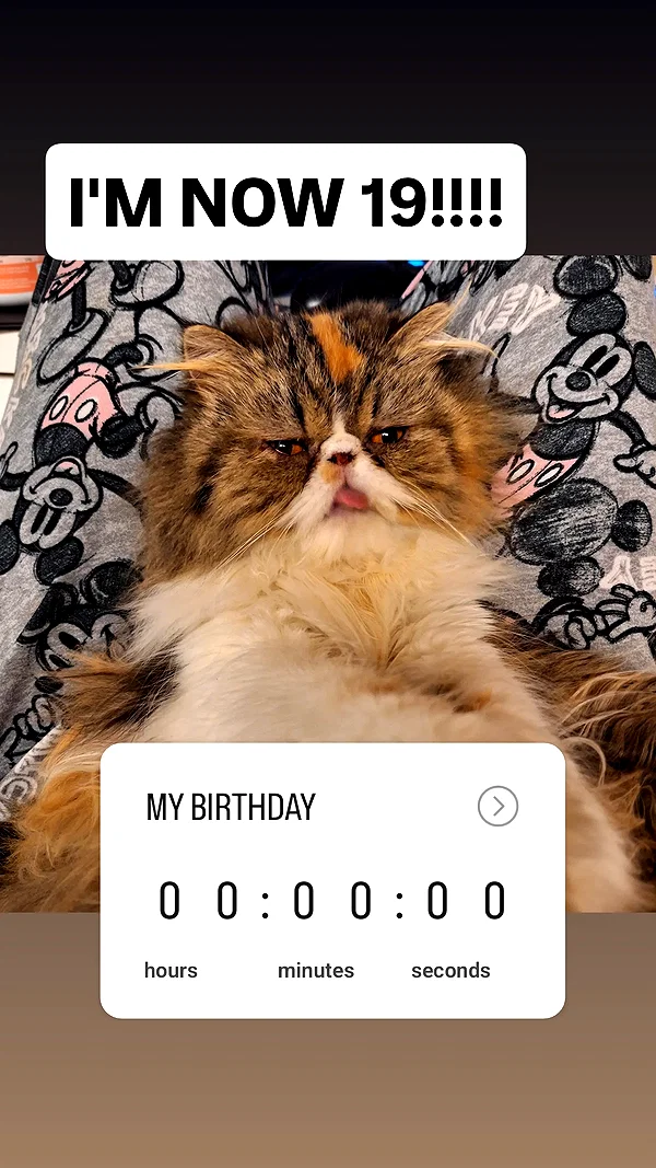 mirekyarahire instagram image archive image