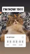 mirekyarahire Altpins Profile Picture