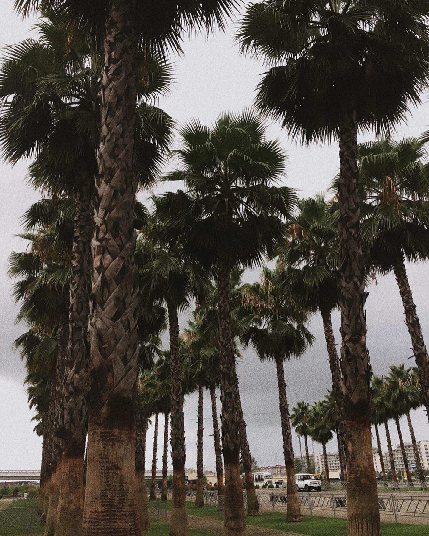 kkulakovaa instagram image archive image