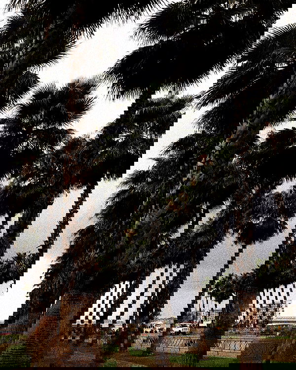 kkulakovaa image ~ Altpins