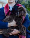 katelynernst3 Altpins Profile Picture