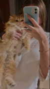 beyzapehlivanogluu Altpins Profile Picture