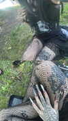 _dead__cherry_ Altpins Profile Picture