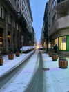 noa_blumenfeld Altpins Profile Picture