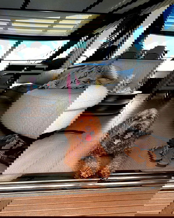 paigeinsco paigeinsco archive image