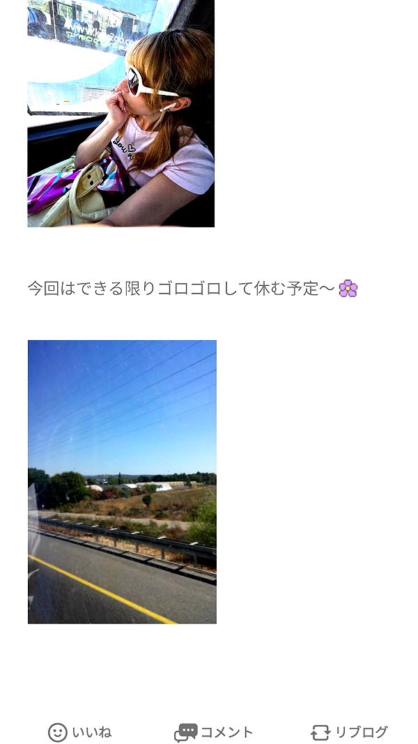 piyokoblog archive image