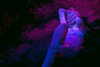 xtina Altpins Profile Picture