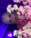 vik4au Altpins Profile Picture