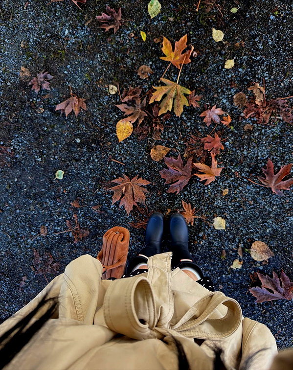 bbyambi instagram image archive image