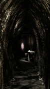 vvelum_ Altpins Profile Picture