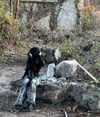 _urbaneva Altpins Profile Picture
