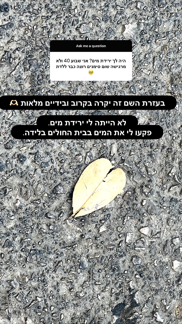 barzomer instagram image archive image