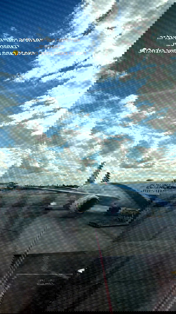 biton__adi biton__adi archive image