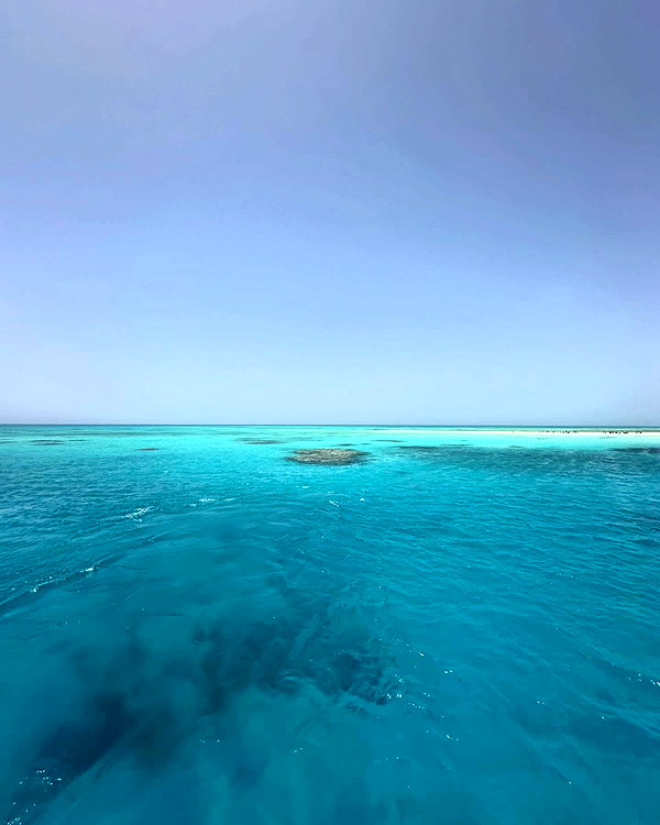 forestowwwl instagram image archive image