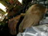 sweetestgirleverintheworld Altpins Profile Picture