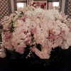 mariahcarey Altpins Profile Picture