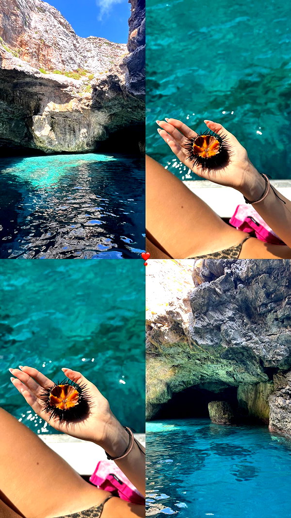 federica.piccinni instagram image archive image