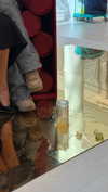 efrat_elmalich Altpins Profile Picture
