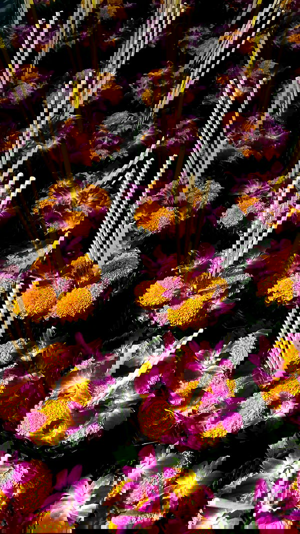 taylor.creeden taylor.creeden archive image