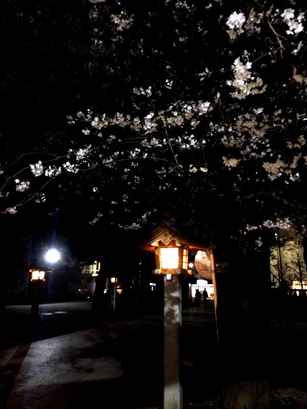 so33w.rin instagram image archive image