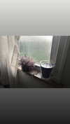 ash.onme Altpins Profile Picture