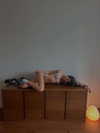reneeebeller Altpins Profile Picture