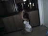 hellokittyangel666 Altpins Profile Picture