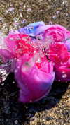 elizabethcampbelljones Altpins Profile Picture