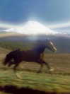 44cbrloveletter Altpins Profile Picture