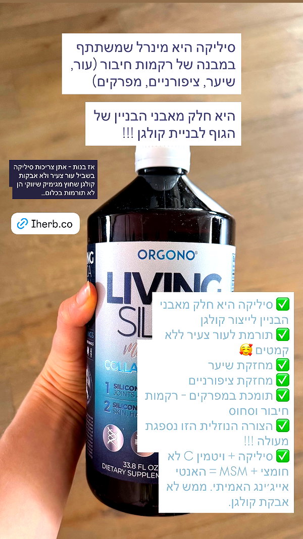 lital.oss instagram image archive image